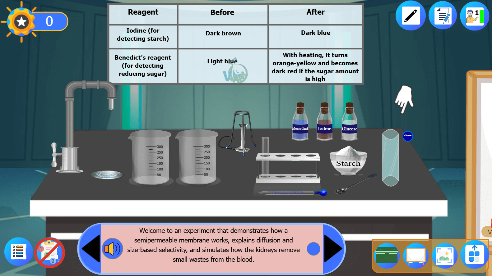 Partial permeability