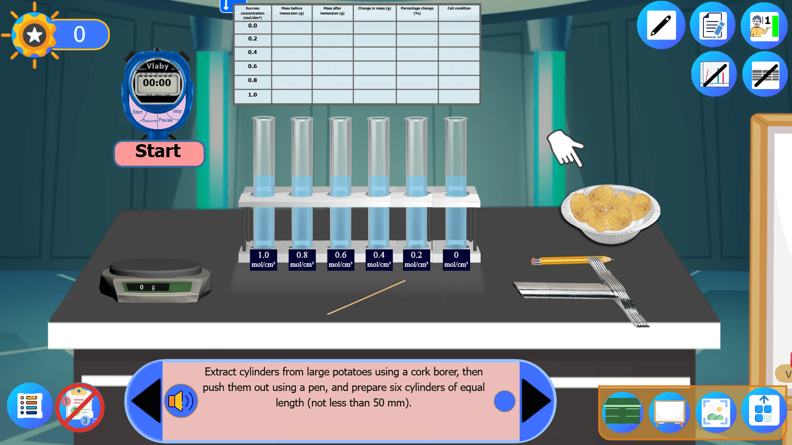 Effect of Sucrose Solution Concentration on Potato Tissues