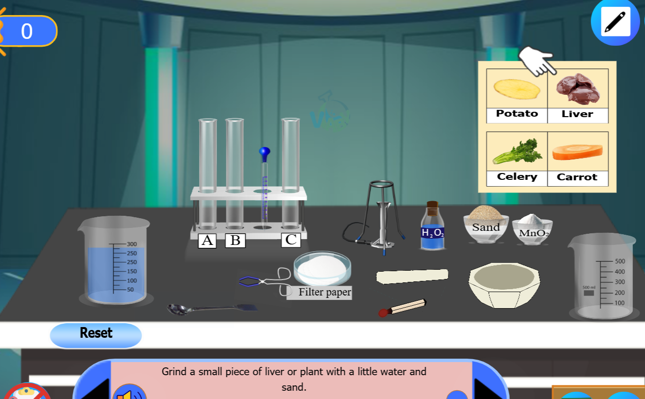 Catalase Reaction with Hydrogen Peroxide