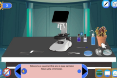 Differential Staining Technique