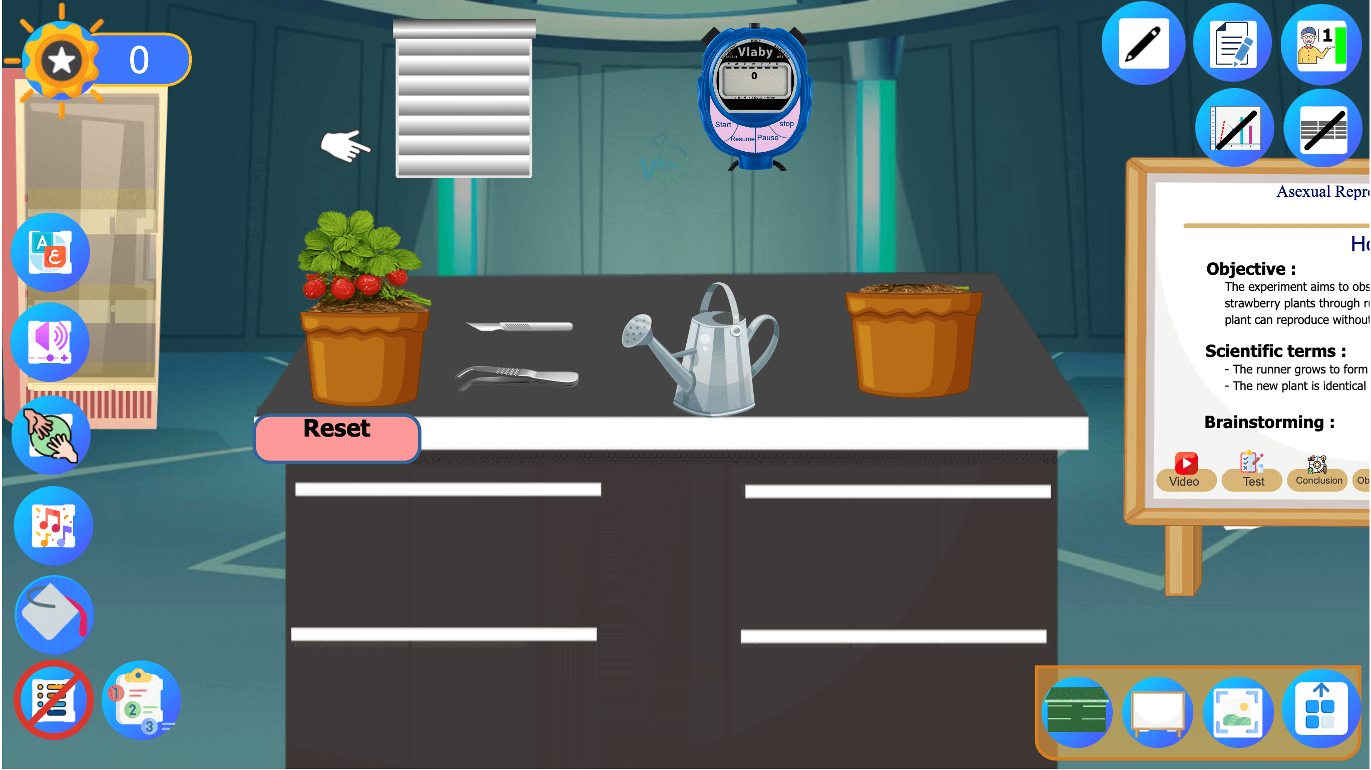 Asexual Reproduction in Plants