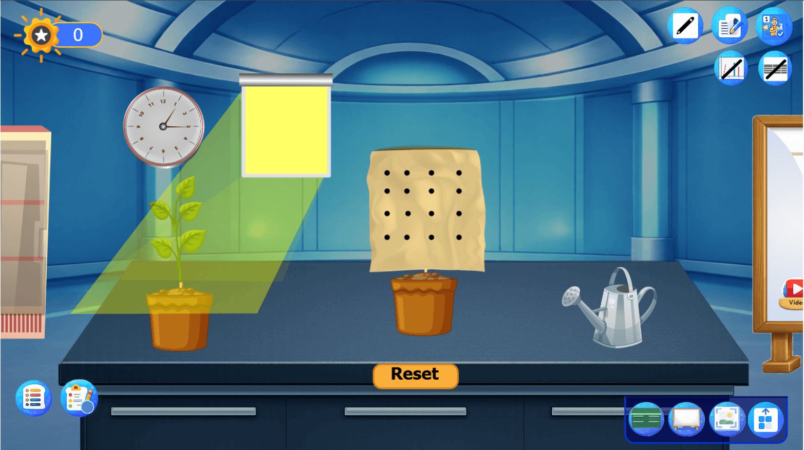Effect of light on the appearance of chlorophyll in some plants