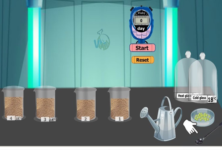 Investigating the Conditions for Germination