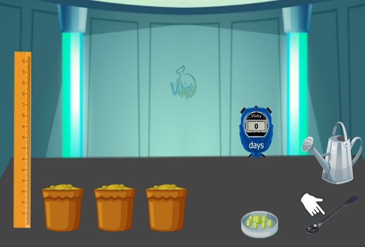 How Much Water Do Plants Need?