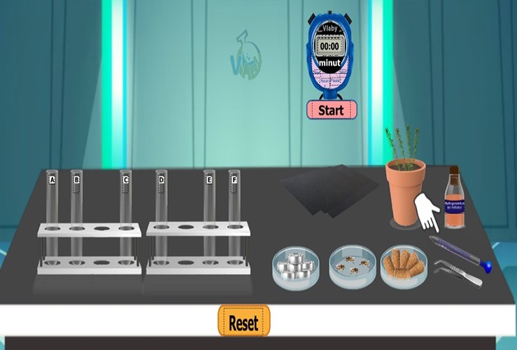 How Do Plants and Animals Affect Carbon Dioxide Concentration?