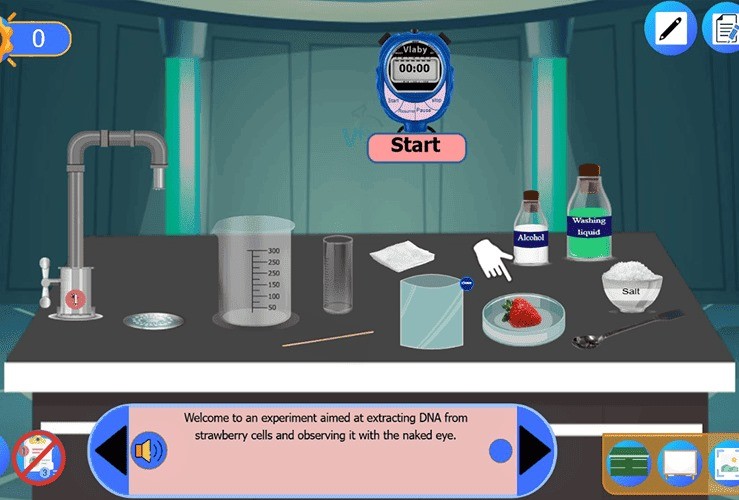 Extracting DNA from Strawberries