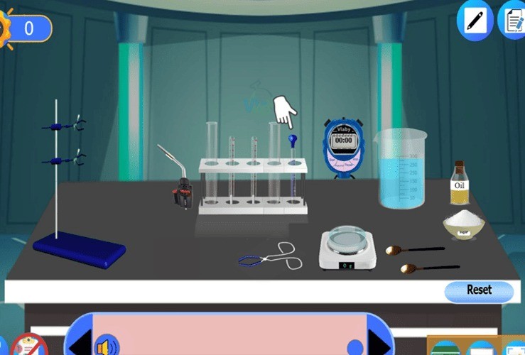 Comparing the Energy Content of Fats and Carbohydrates