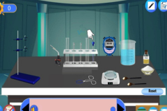 Comparing the Energy Content of Fats and Carbohydrates