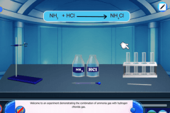 Combination of ammonia gas (compound) with hydrogen chloride gas (compound)