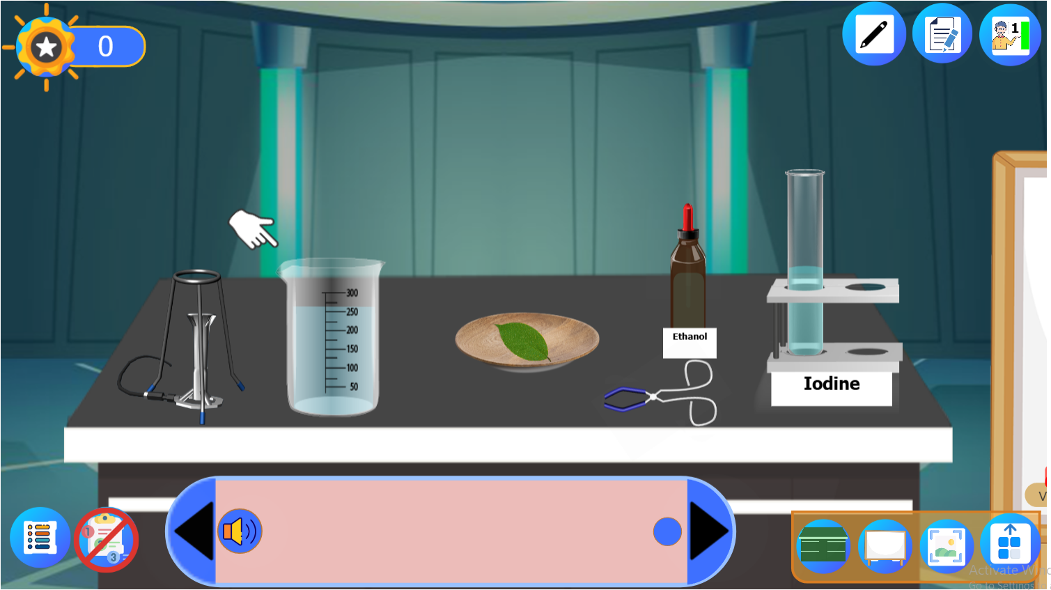 Formation of Starch in the Process of Photosynthesis