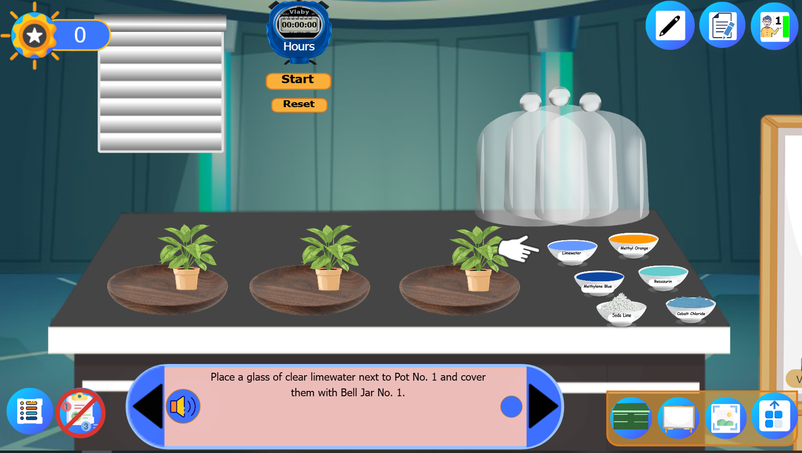 Gas Exchange in Plants