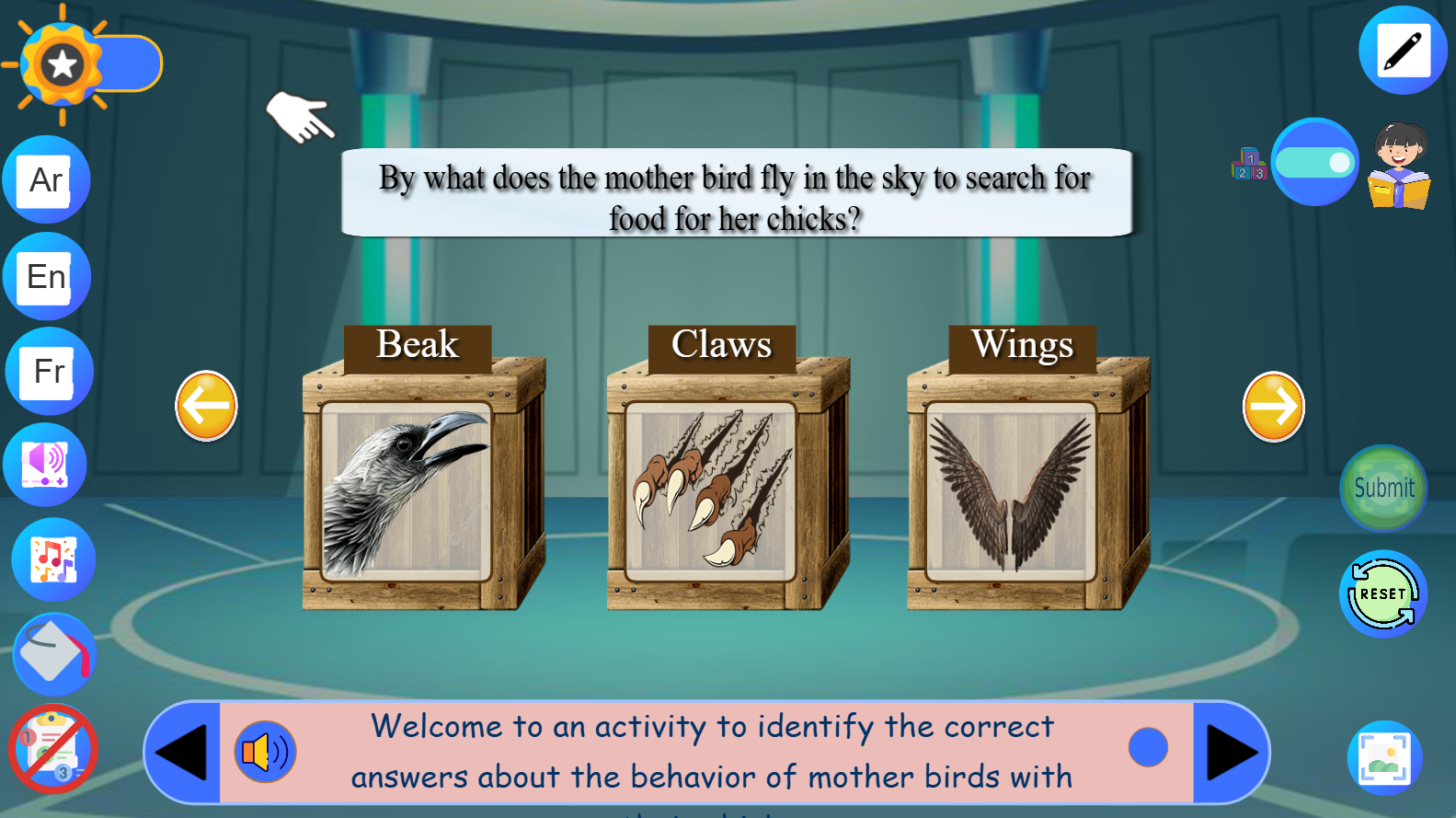 Behavior of Mother Birds with Their Chicks