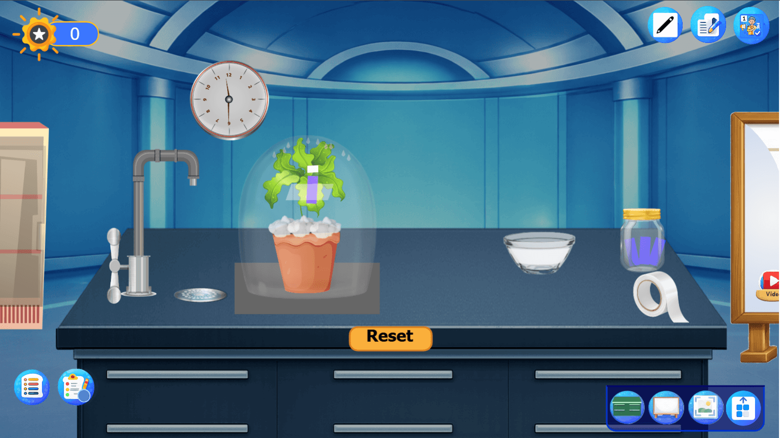 Transpiration Process in Plants