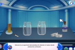 Detection of Carbon Dioxide Produced by Combustion