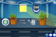 Asexual Reproduction in Plants